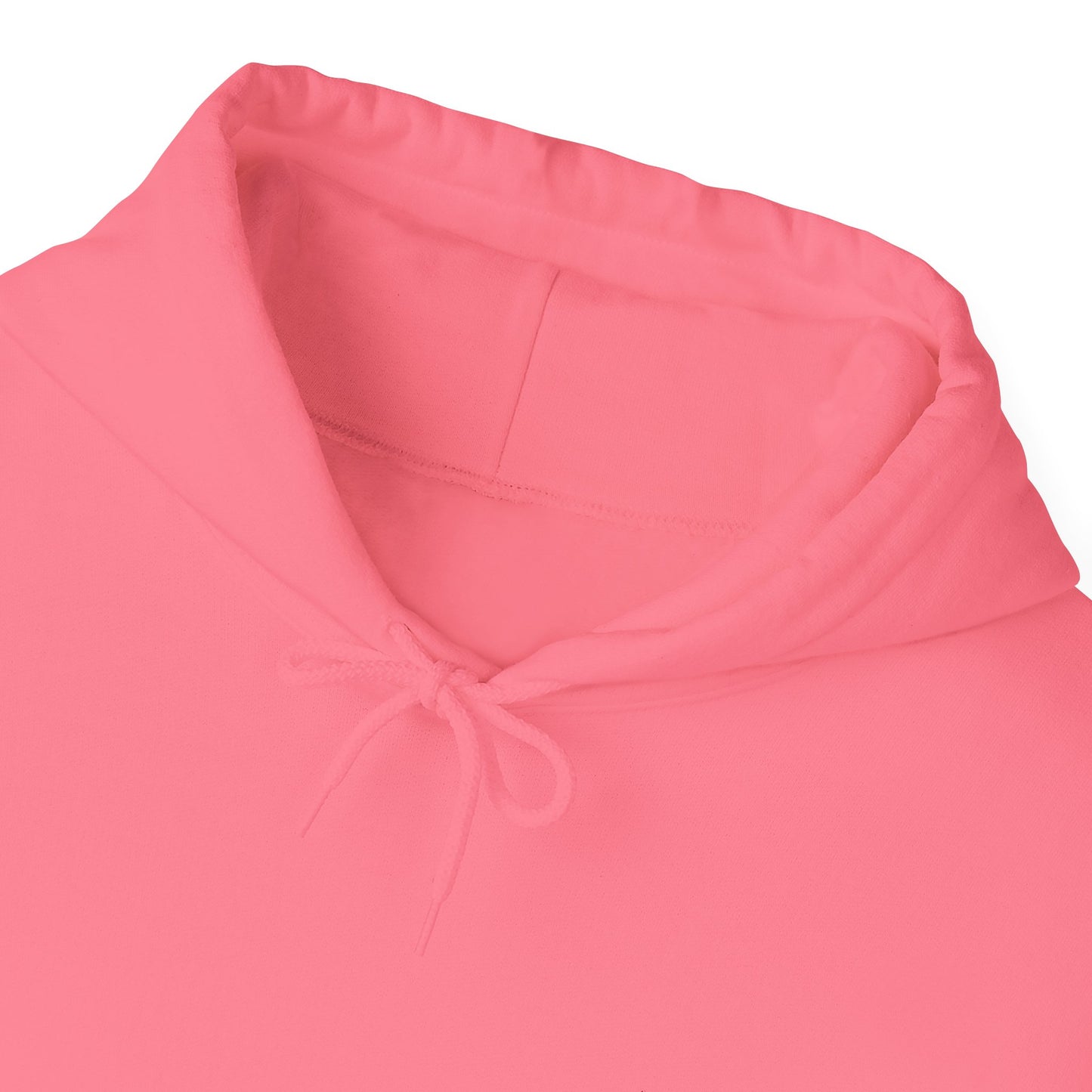 Anti Social Craft Club Embroidered Hoodie